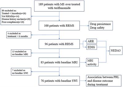 Real-world experience of teriflunomide in relapsing multiple sclerosis: paramagnetic rim lesions may play a role